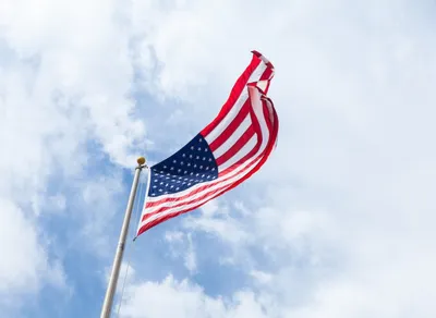 Get Your Daily Dose of Hilarious Humor Quotes