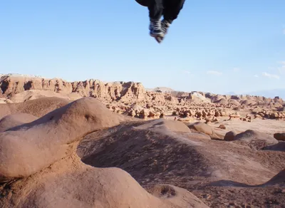 Get a Laugh with These Hilarious Life Humor Quotes