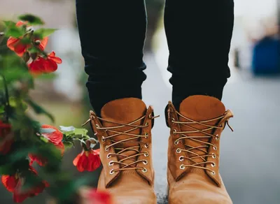 Explore Inspiring Quotes About Life's Journey with Puss in Boots