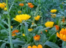 Discover Inspiring Ted Lasso Quotes That'll Brighten Your Day