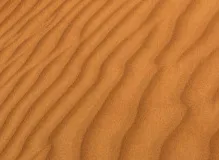 Unlock the Power of Vulnerability with Inspiring Brene Brown Quotes