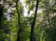 Master The Art of Humor with Tagalog Quotes