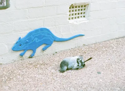 Discover Heartfelt Condolence Messages for Loss of Mother