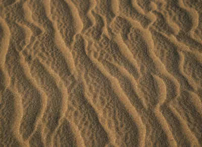 Find Comfort in Heartfelt Words: Remembering Loved Ones with Endearing Death Quotes