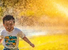 Discover the Funniest Life Quotes: Laugh Your Way Through Life's Ups and Downs!