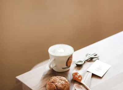 Unlock the Joy of Life with Hilarious Quotes and Humor