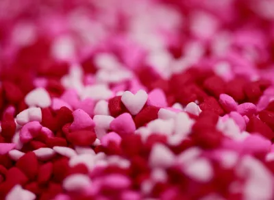 Laugh and Be Inspired: Humor Quotes of the Day to Brighten Your Mind