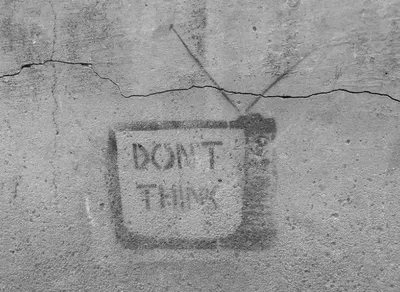 Laugh Out Loud with Born a Crime Humor Quotes!