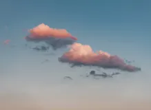 Unleash Laughter with Hilarious Born a Crime Humor Quotes